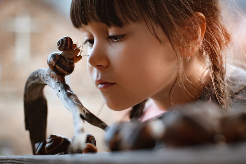 child looking at snails