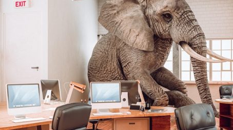 elephant in the office